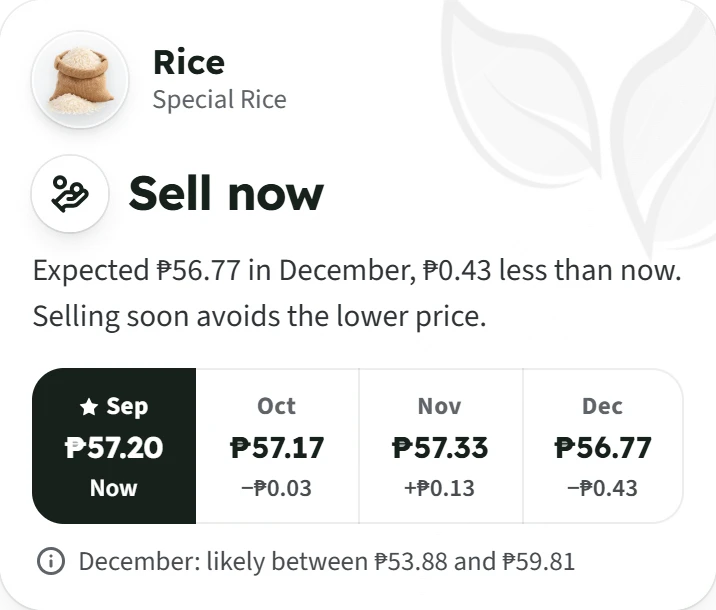 Sell now: Special Rice is expected at ₱56.77 in December, ₱0.43 less than now, likely between ₱53.88 and ₱59.81.
