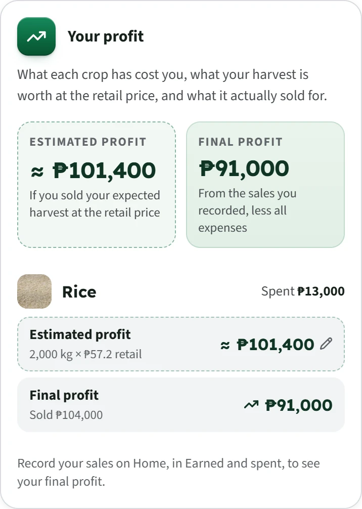 The Your profit card: ₱13,000 spent on rice, an estimated profit of about ₱101,400, and a final profit of ₱91,000 from ₱104,000 in sales.